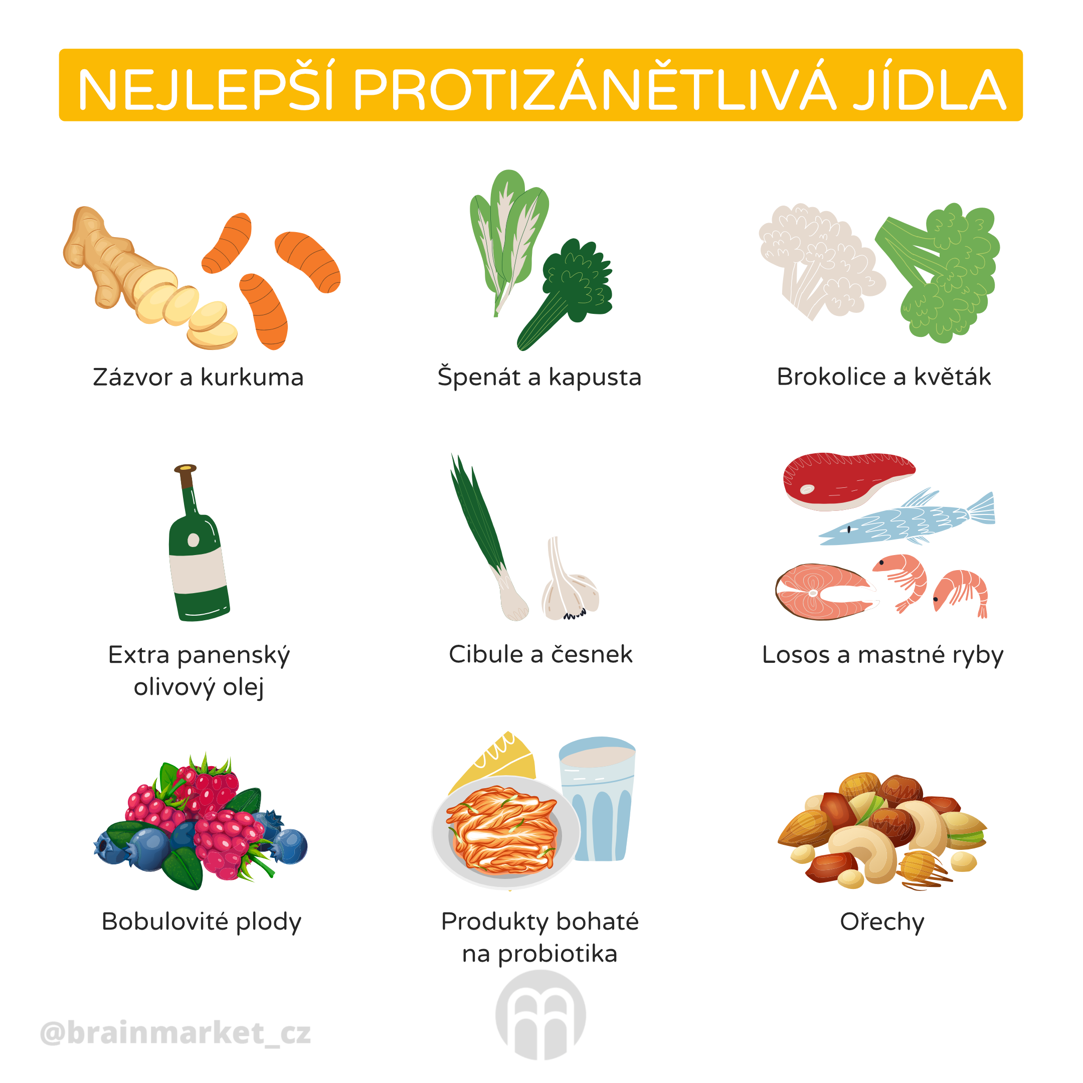 nejlepsi protizanetliva jidla_infografika_cz